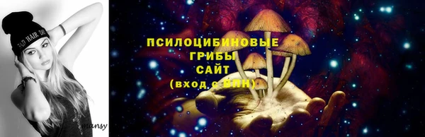 прущая мука Богданович