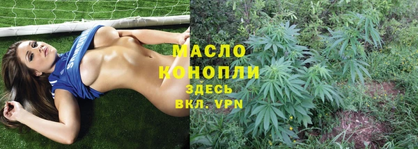 Альфа ПВП Бородино