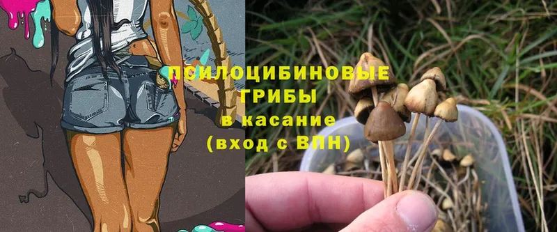 Псилоцибиновые грибы MAGIC MUSHROOMS  Гороховец 