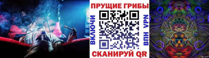 Псилоцибиновые грибы Psilocybe  Гороховец 